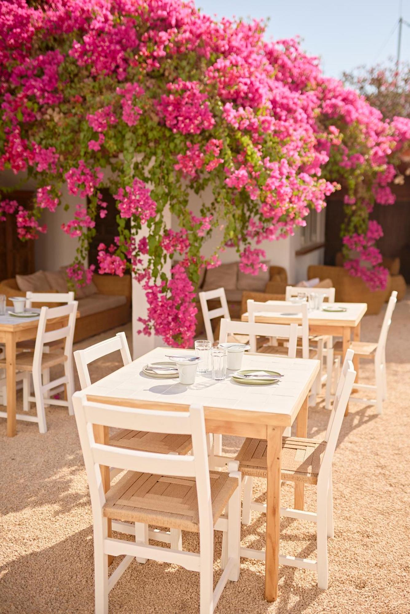 Ibara Ibiza Hotel Boutique Es Cana Zewnętrze zdjęcie