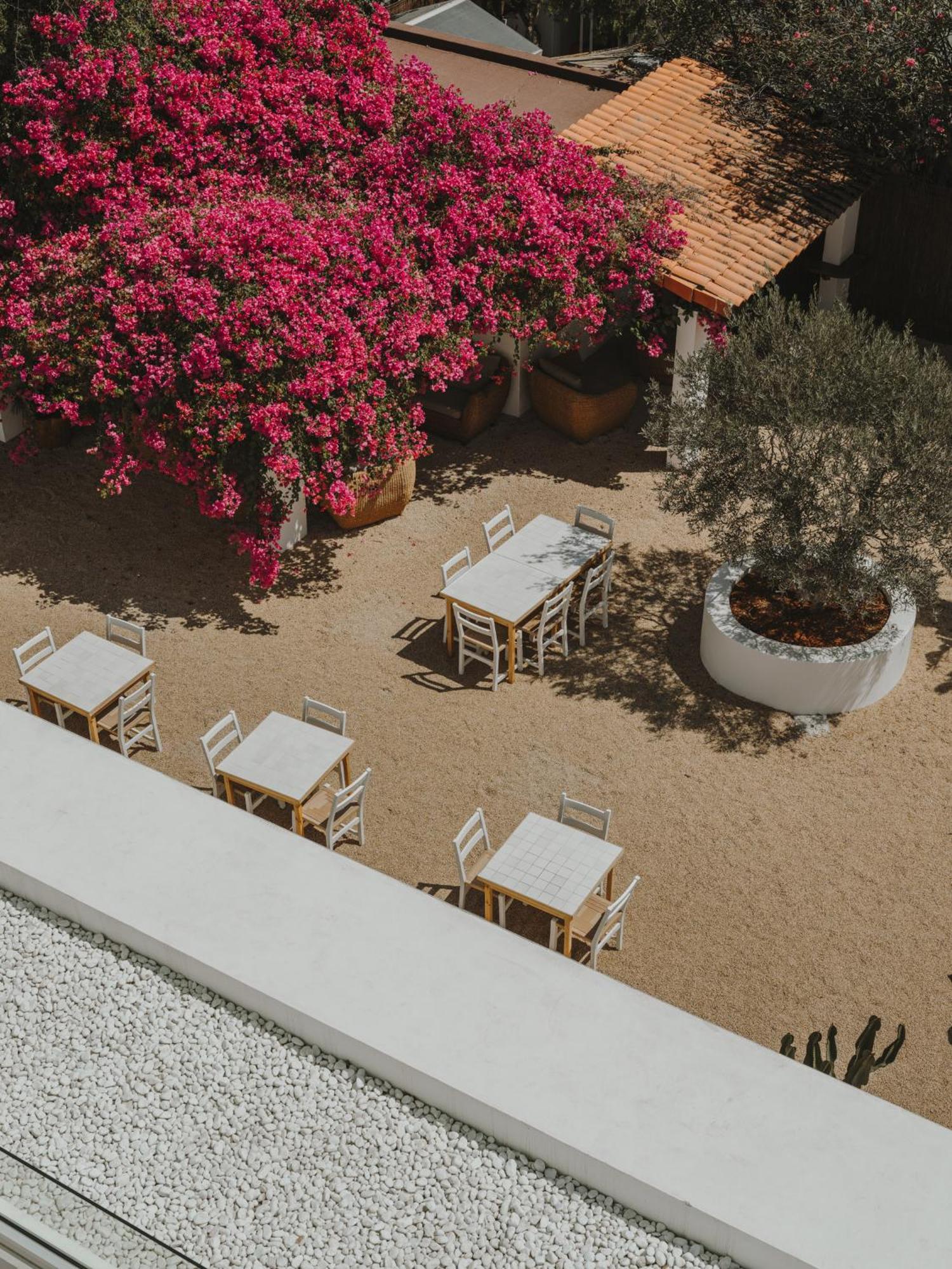 Ibara Ibiza Hotel Boutique Es Cana Zewnętrze zdjęcie
